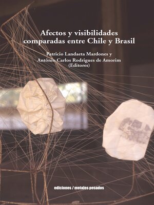 cover image of Afectos y visibilidades comparadas entre Chile y Brasil